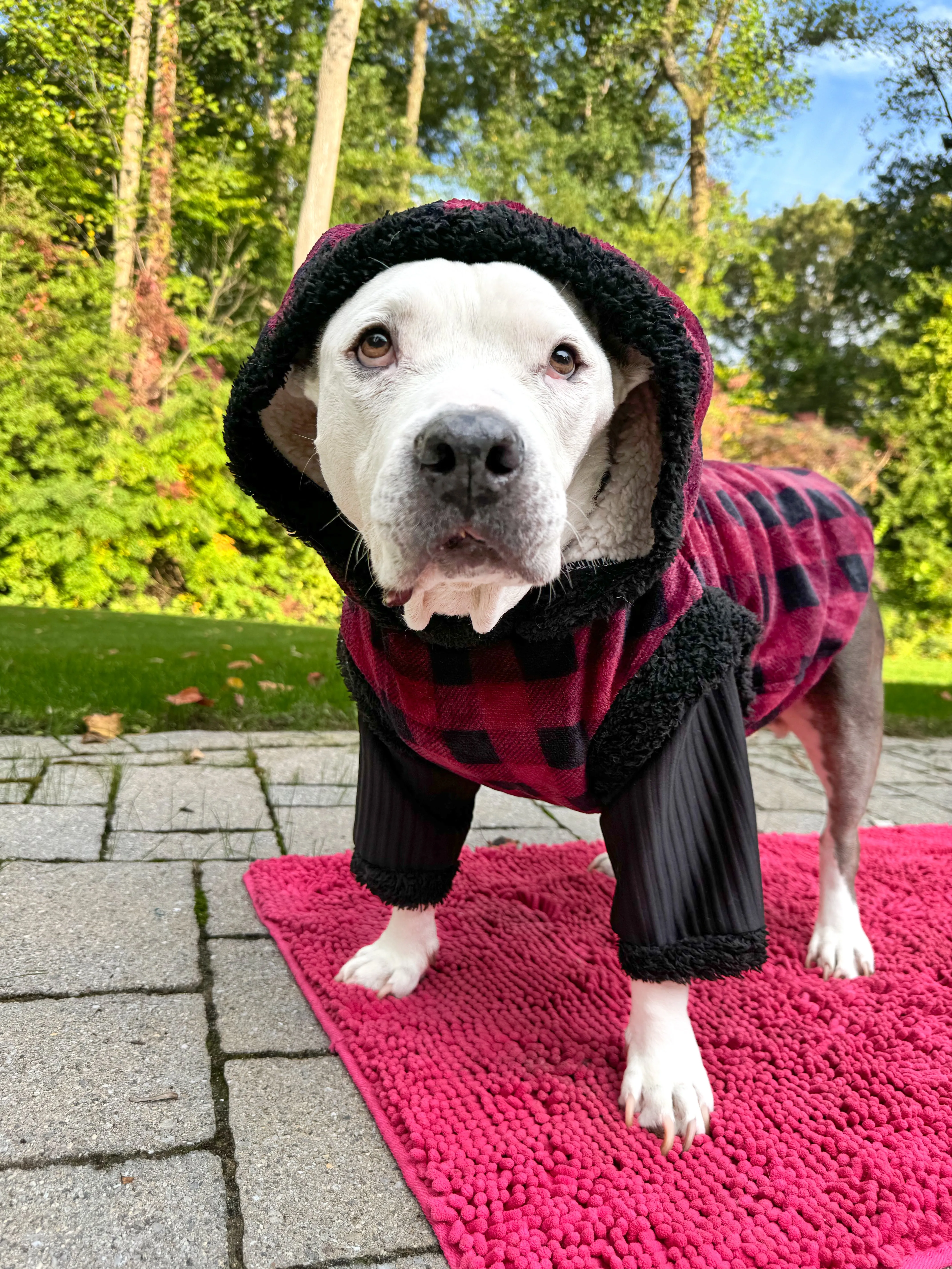 Buffalo Plaid Shirt with Sherpa Lining